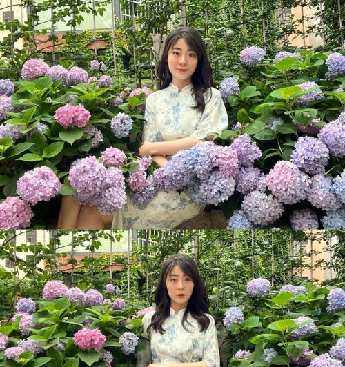 《探索女王后花园的乐趣——以一千克拉女王后花园为主题的游戏玩法介绍》（畅享花园探险的精彩世界——一千克拉女王后花园游戏攻略全解析）